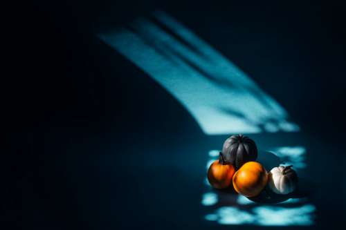 Four Pumpkins In A Beam Of Light Photo