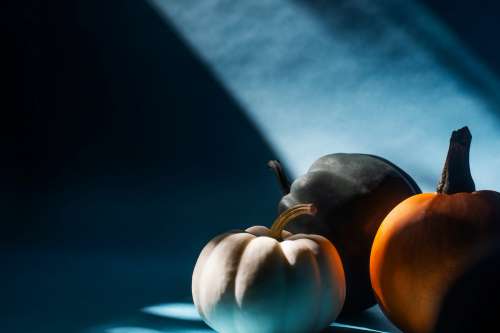 Three Pumpkins In A Beam Of Sunlight Photo