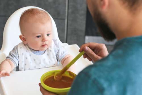 Father Feeding Child Free Stock Photo