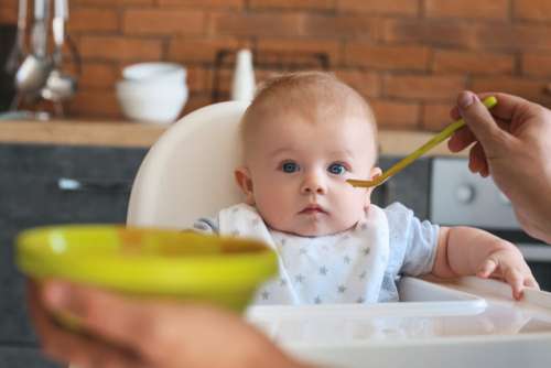 Feeding Baby Free Stock Photo